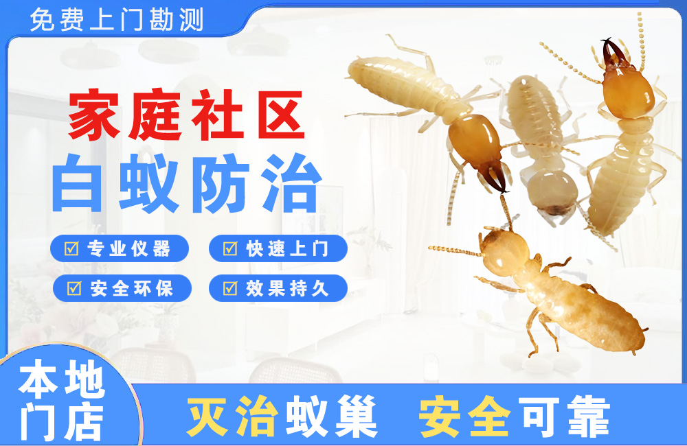 芜湖家庭社区白蚁防治