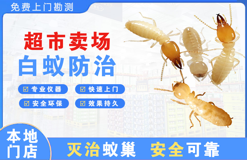 芜湖超市卖场白蚁防治