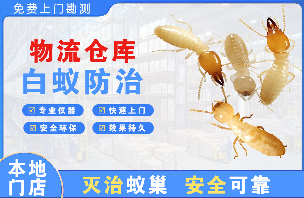芜湖物流仓库白蚁防治