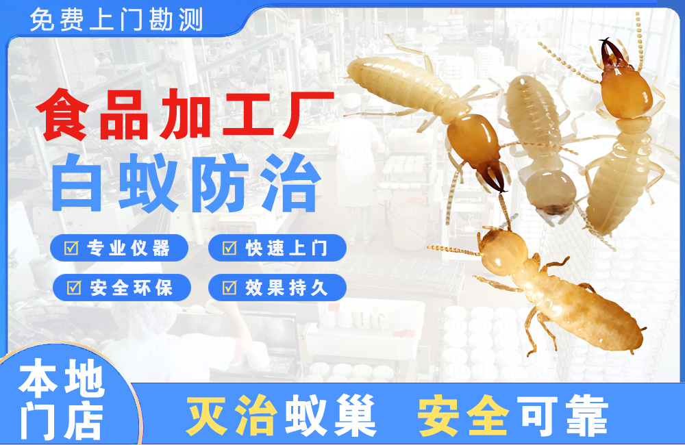 芜湖食品加工厂白蚁防治