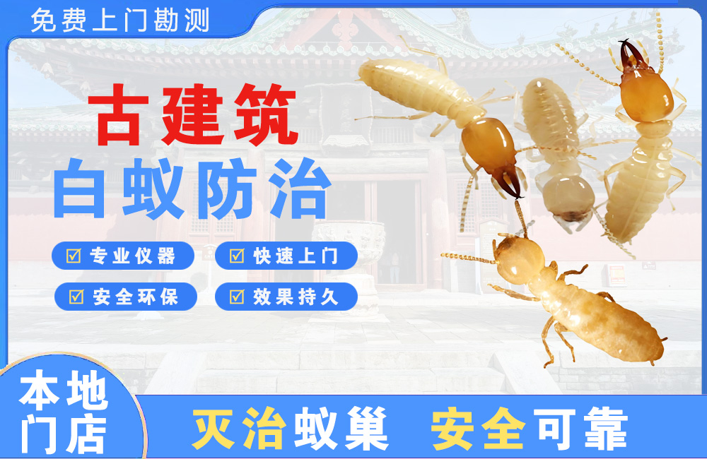 芜湖古建筑白蚁防治