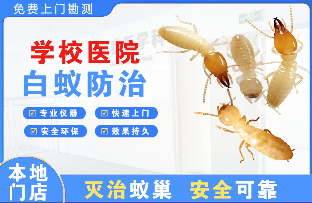 芜湖学校医院白蚁防治