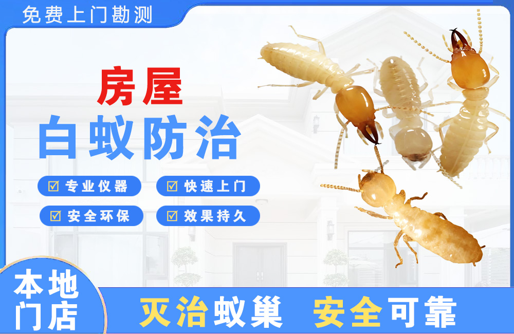 芜湖房屋白蚁防治
